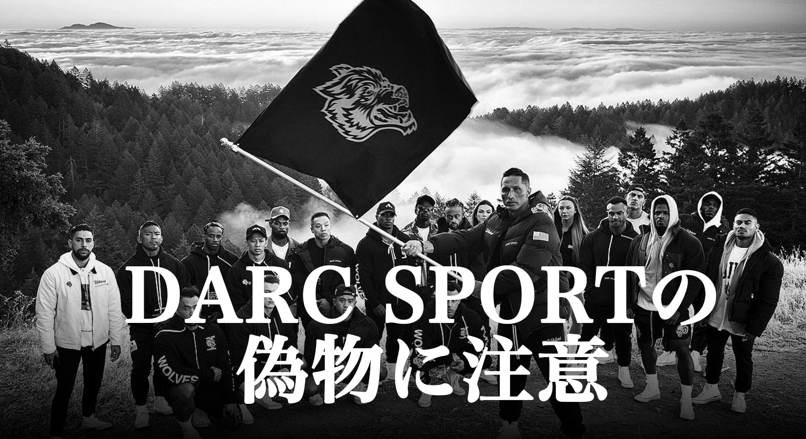 DARC SPORT（ダークスポーツ）の偽物にご注意下さい。