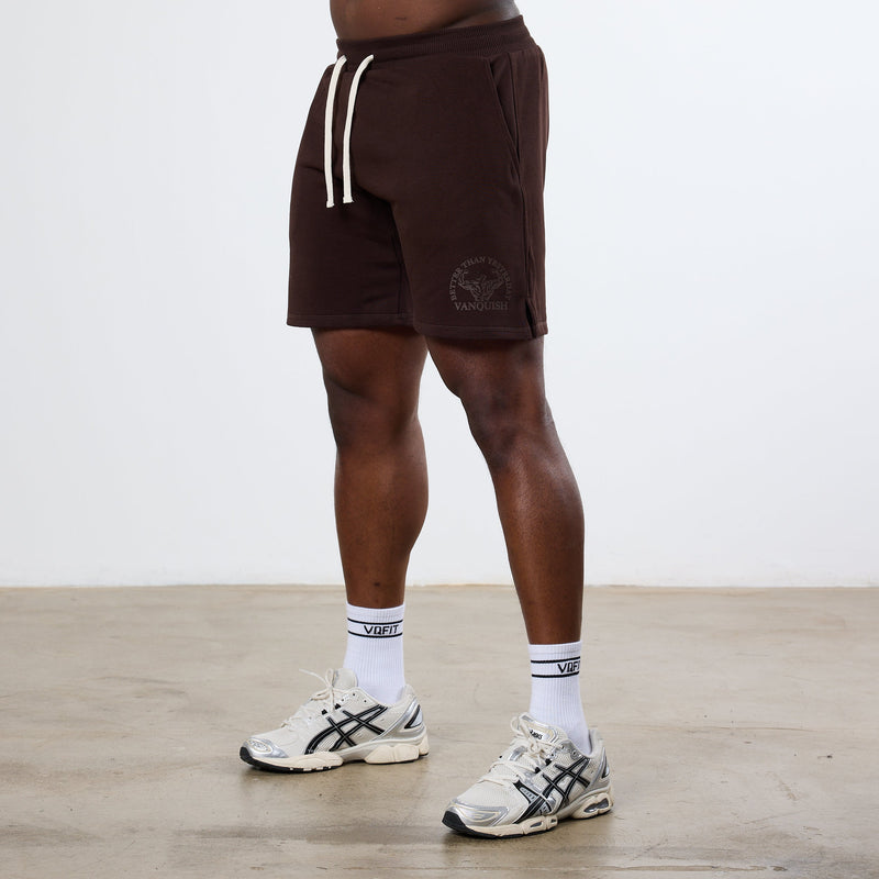 Vanquish Dark Brown Unconquerable Strength Wide Leg Shorts 2枚目の画像