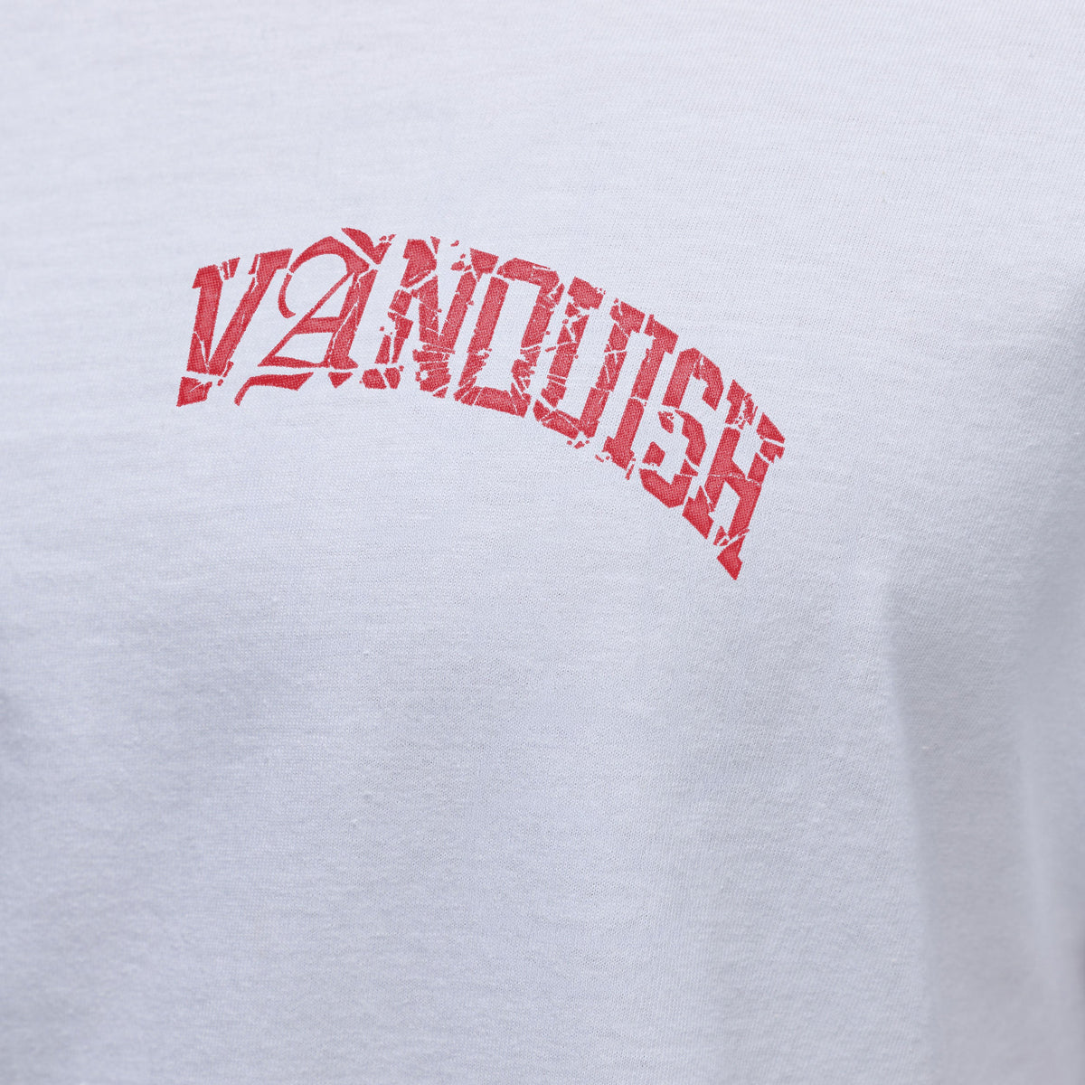REVOLVE GLASS WHITE OVERSIZED T SHIRT 4枚目の画像