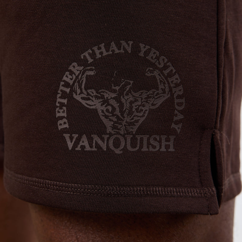 Vanquish Dark Brown Unconquerable Strength Wide Leg Shorts 4枚目の画像