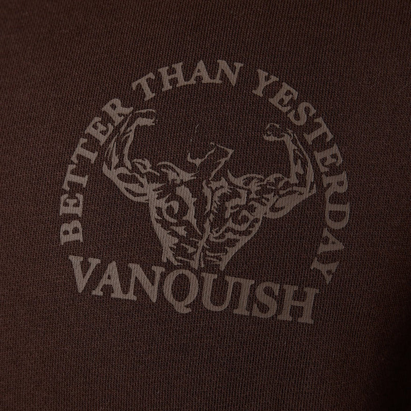 Vanquish Dark Brown Unconquerable Strength Quarter Zip Sweater 5枚目の画像