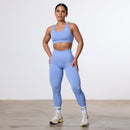 Vanquish Elevate Seamless Sky Blue Support Bra 2枚目の画像