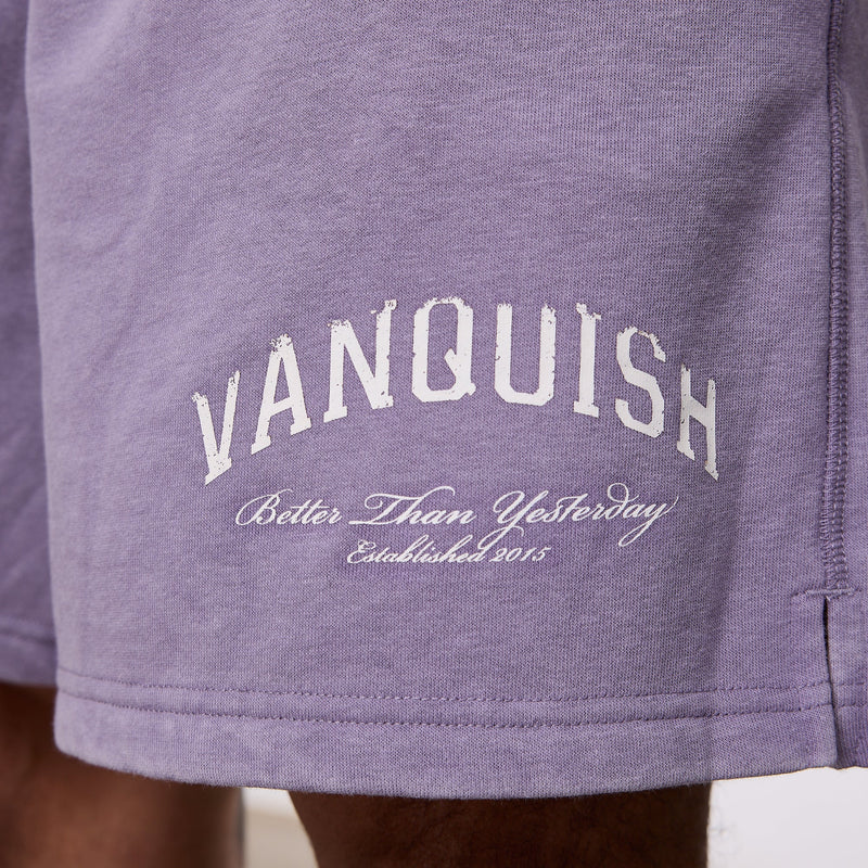 Vanquish Better Than Yesterday Washed Purple Sweat Shorts 5枚目の画像