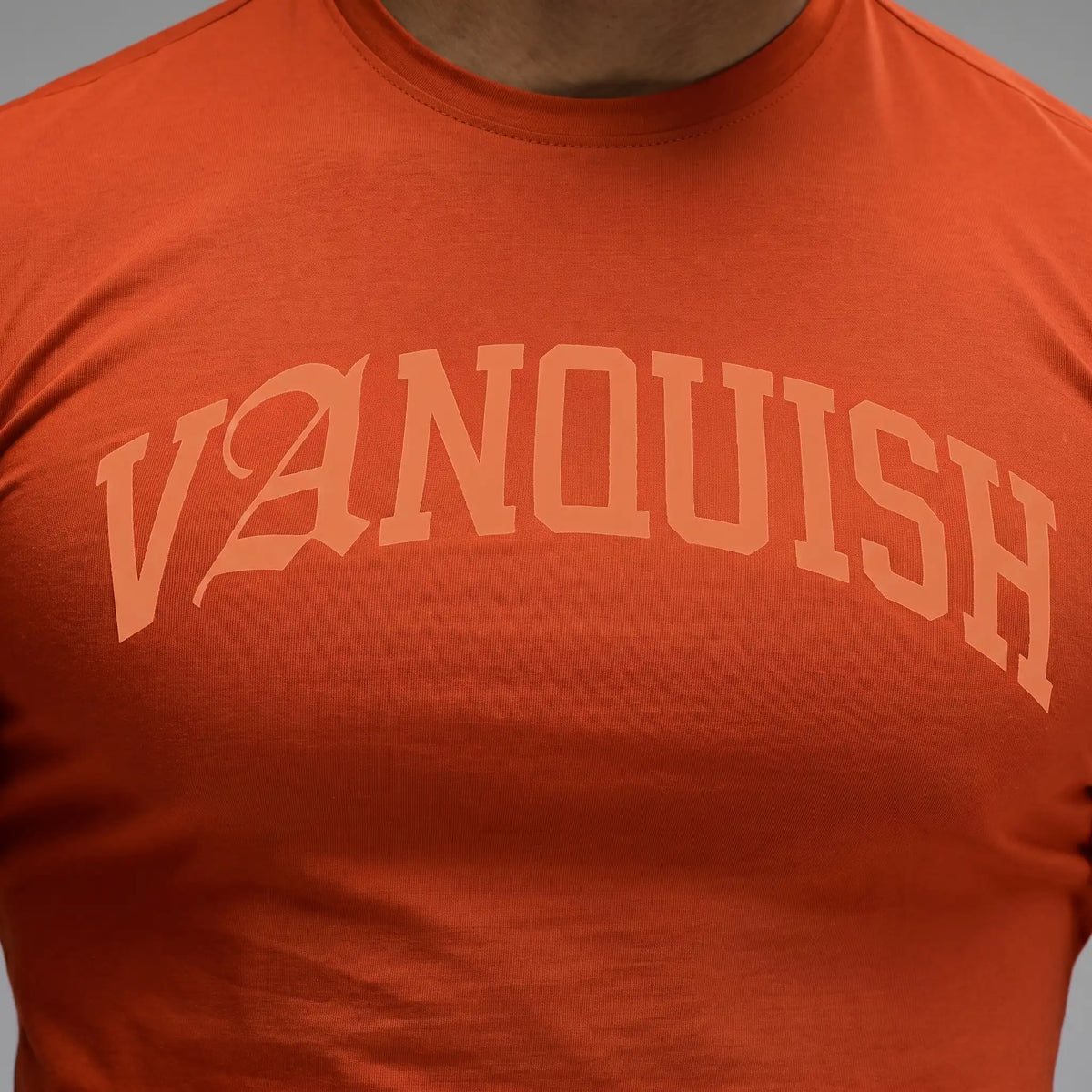 EVOLVE ARCH ORANGE SLIM FIT T SHIRT 3枚目の画像