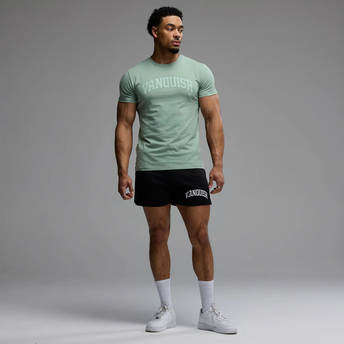 EVOLVE ARCH PASTEL MINT SLIM FIT T SHIRT 4枚目の画像