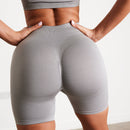 Vanquish Elevate Seamless Smoke Grey Shorts 2枚目の画像