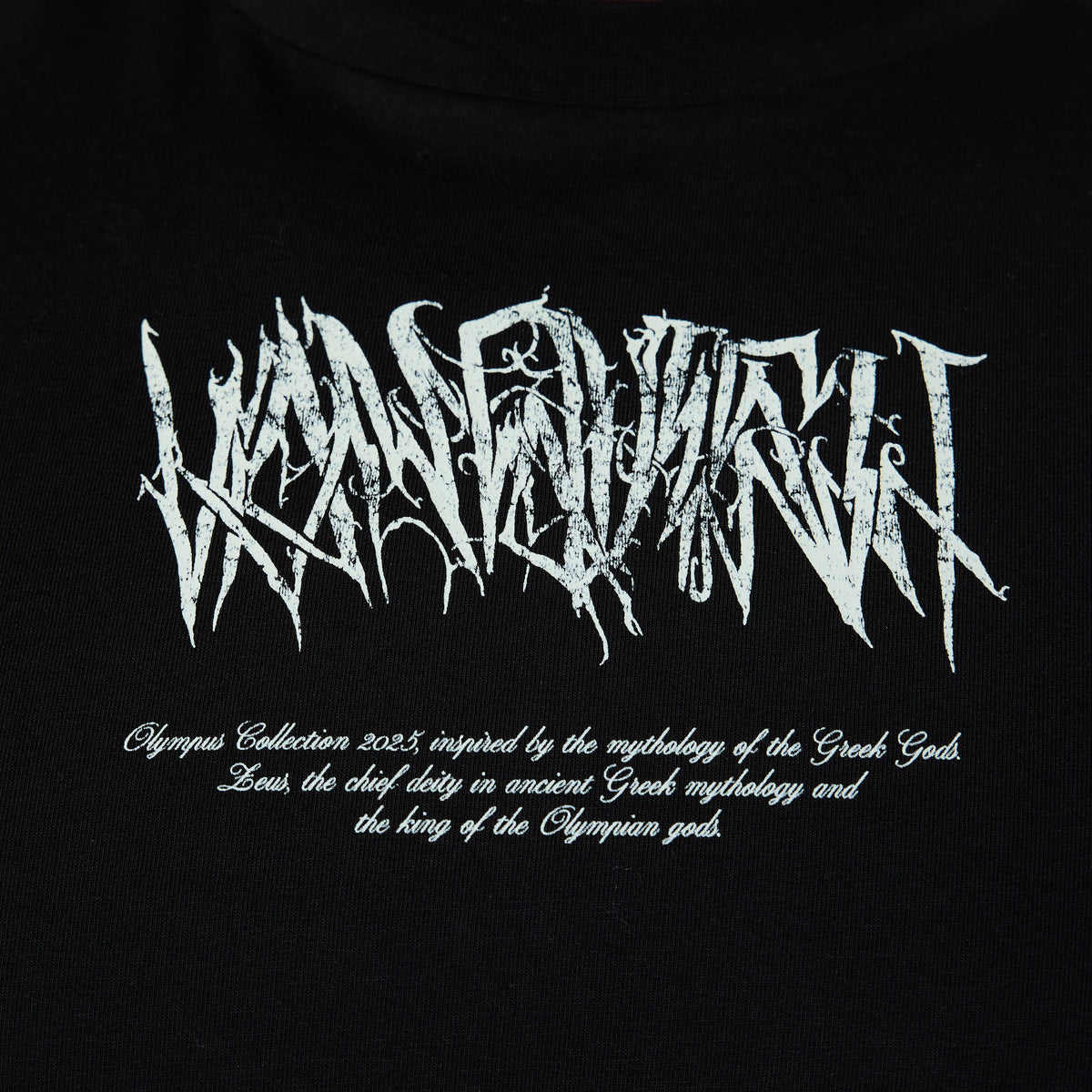 VANQUISH FITNESS Olympusモデル ブラック ゼウス オーバーサイズ