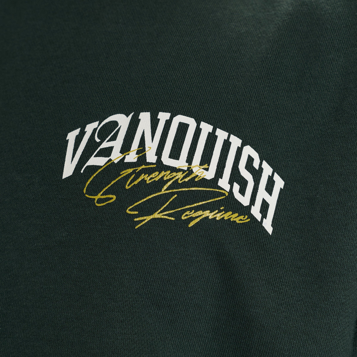 STRENGTH REGIME DARK GREEN OVERSIZED T SHIRT 3枚目の画像