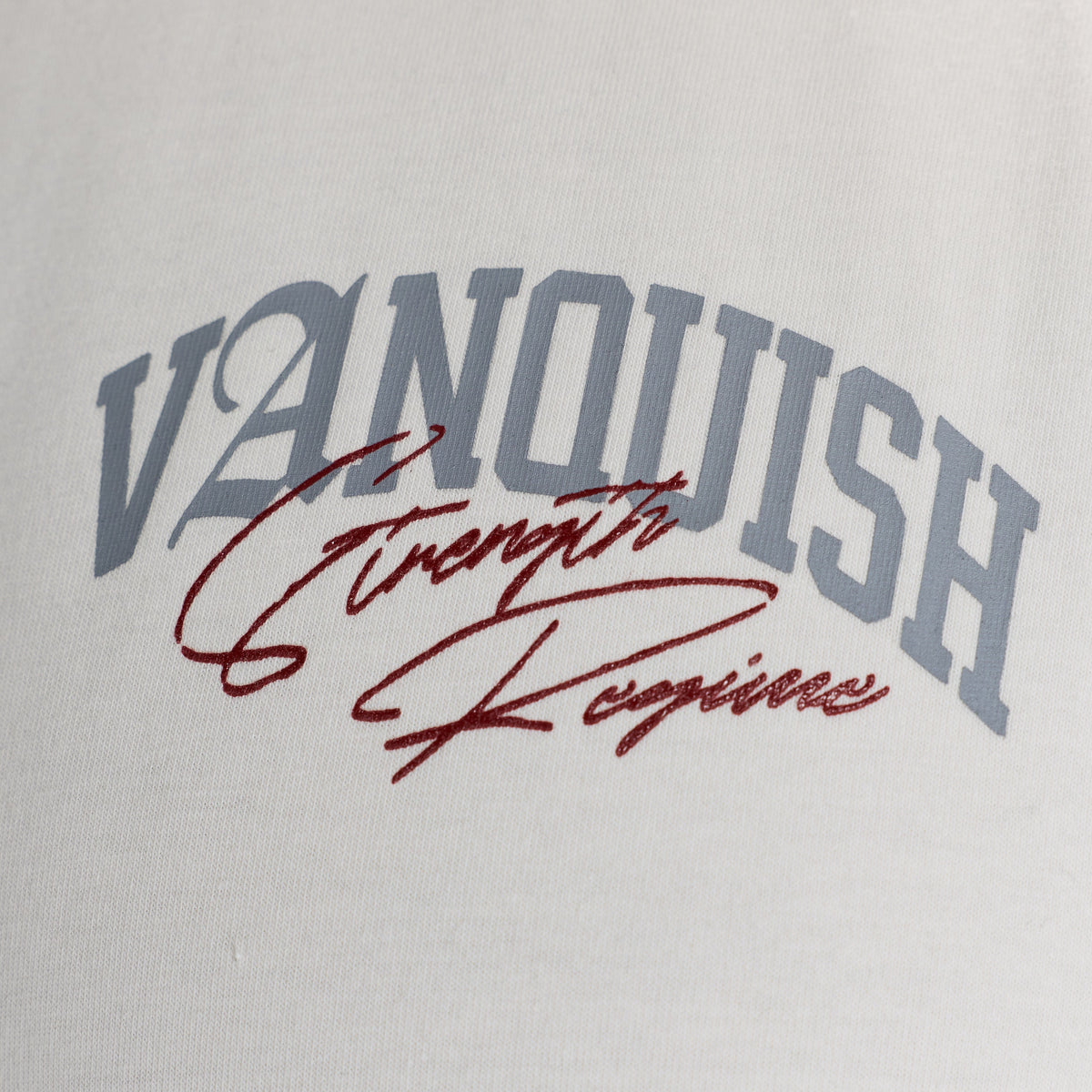 STRENGTH REGIME OFF WHITE OVERSIZED T SHIRT 3枚目の画像