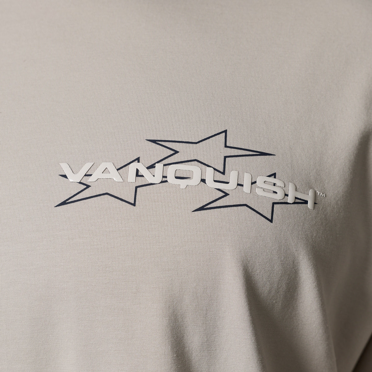 QUICKSTRIKE STONE BOXY OVERSIZED T SHIRT 3枚目の画像