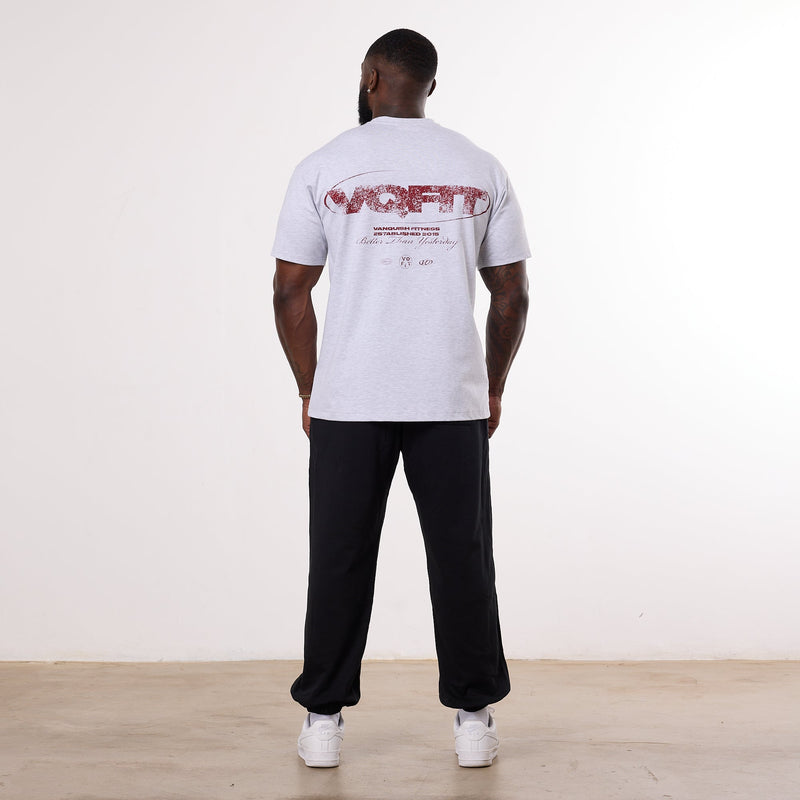 Vanquish TSP VQFIT Revolve Oversized Grey T Shirt 3枚目の画像
