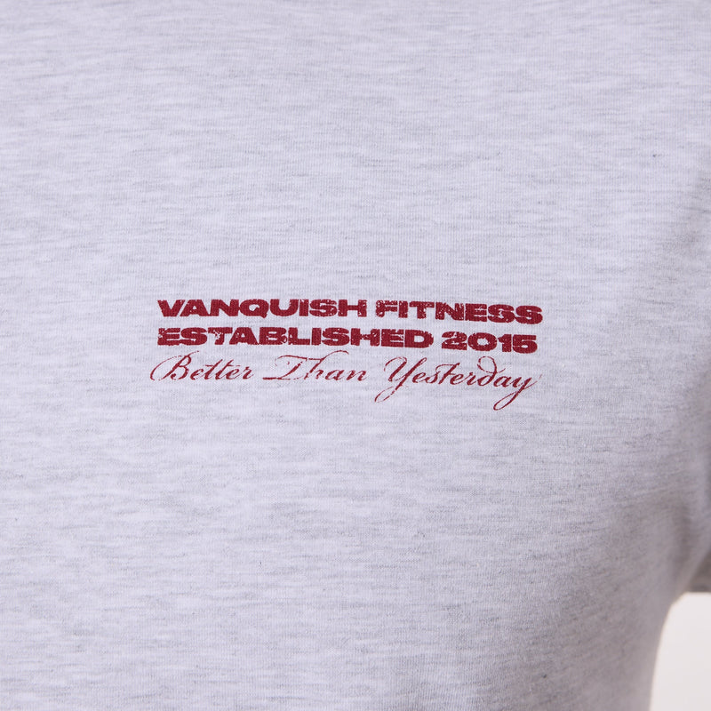 Vanquish TSP VQFIT Revolve Oversized Grey T Shirt 5枚目の画像
