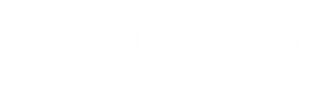 bulkpack-logo.png__PID:bdb52b1d-5e14-4b33-9ad4-9780fb4c1c31