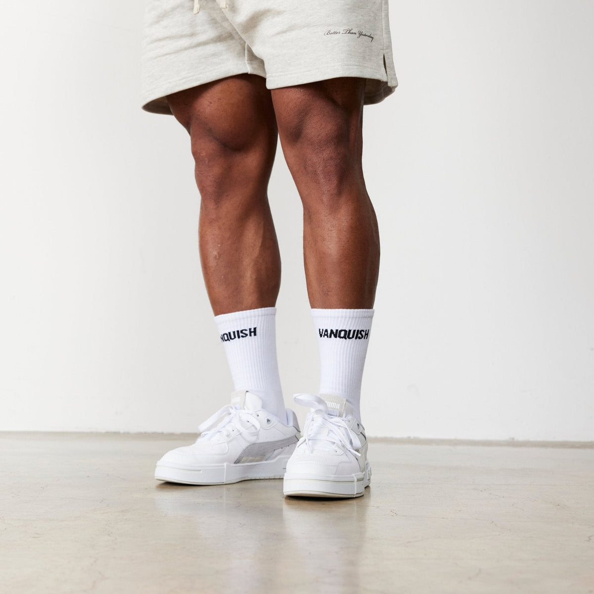 Vanquish White Front Knit Organic Socks 3枚目の画像