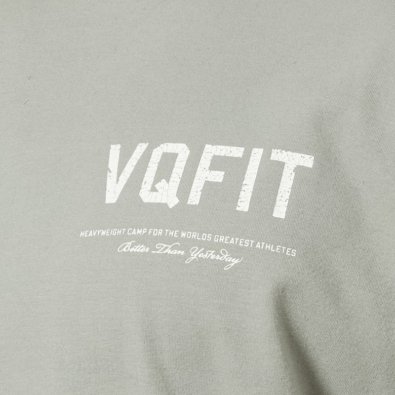 Vanquish VQFIT Distressed Desert Sage Oversized T Shirt 3枚目の画像
