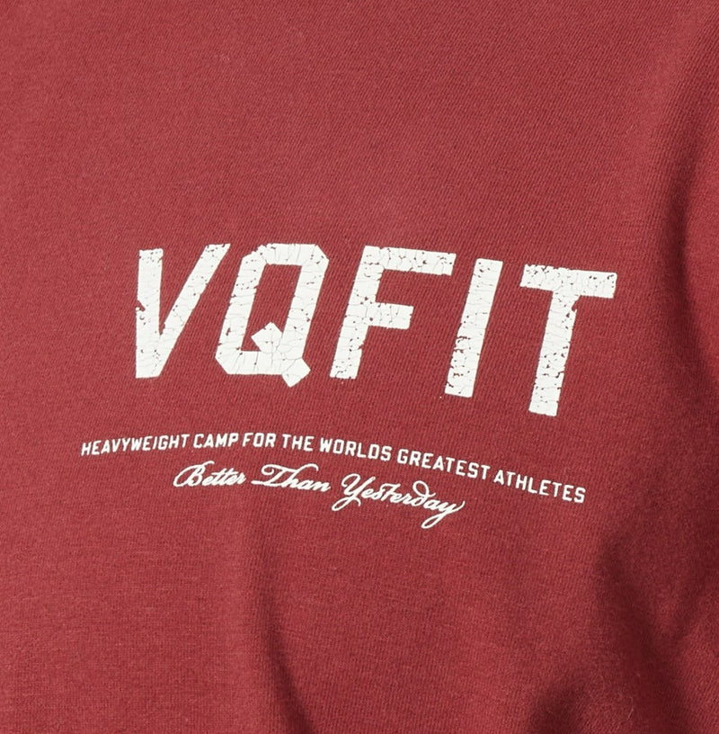 Vanquish VQFIT Distressed Print Brick Red Oversized T Shirt 3枚目の画像