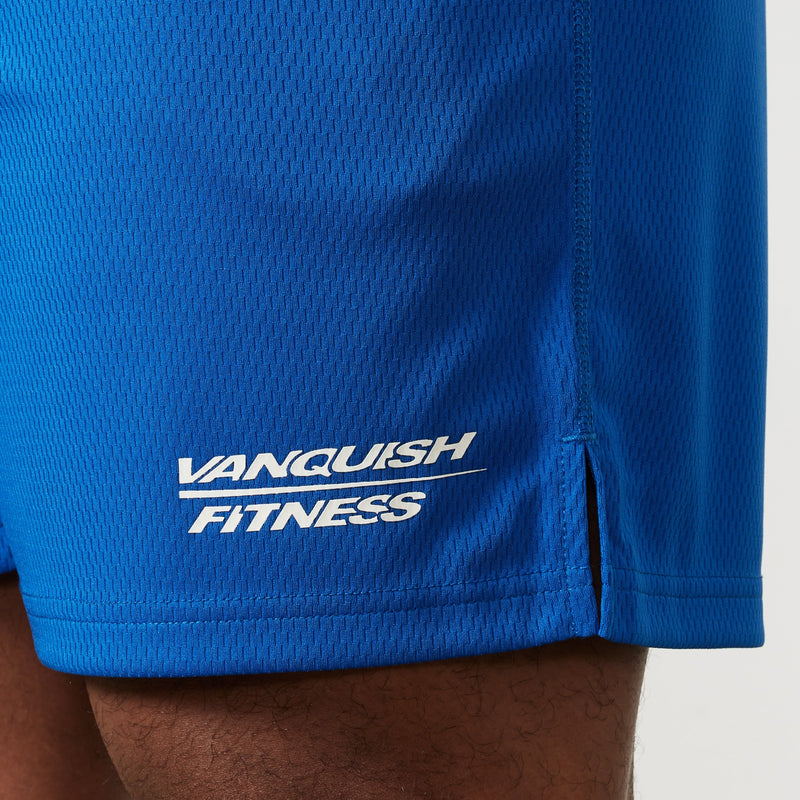 Vanquish Speed Cobalt Blue Mesh Shorts 2枚目の画像
