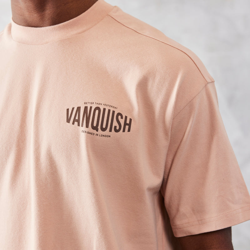 VANQUISH FITNESS TSPモデル クレイピンク Undeniable オーバーサイズ Tシャツ 国内発送 4枚目の画像