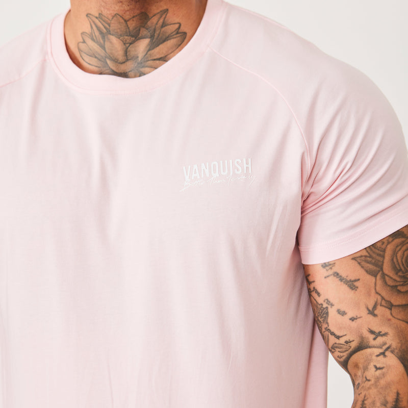 Vanquish BTY Himalayan Pink Slim Fit Raglan T Shirt 2枚目の画像