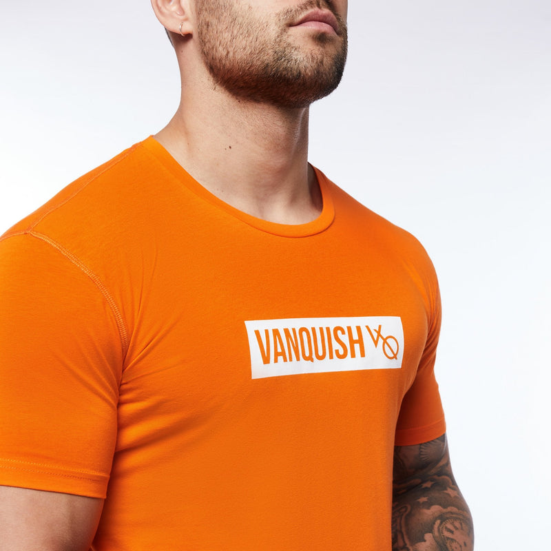 VANQUISH FITNESS Box Logoモデル オレンジ 半袖 Tシャツ 国内発送 2枚目の画像