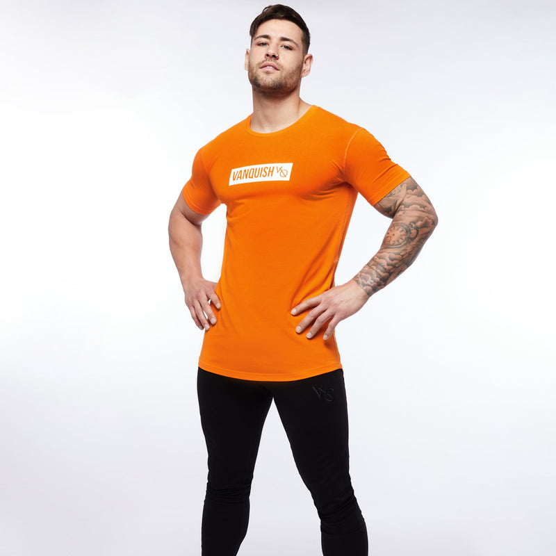 Vanquish Box Logo Orange Short Sleeve T Shirt 4枚目の画像