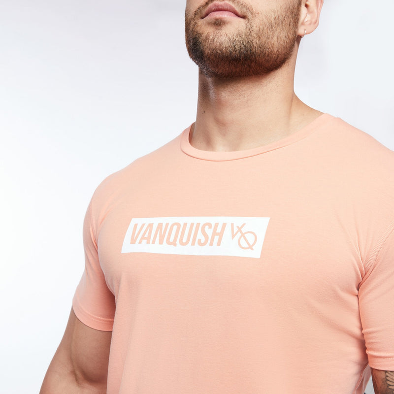 VANQUISH FITNESS Box Logoモデル ピーチ ショートスリーブ Tシャツ 国内発送 2枚目の画像