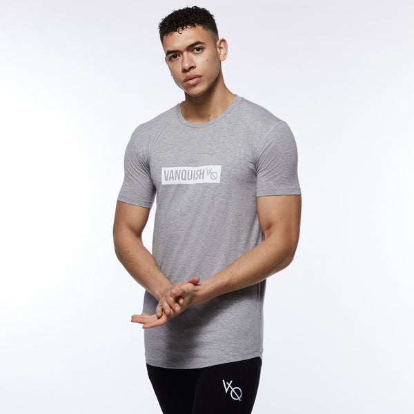 Vanquish Box Logo Ash Grey Short Sleeve T Shirt 1枚目の画像