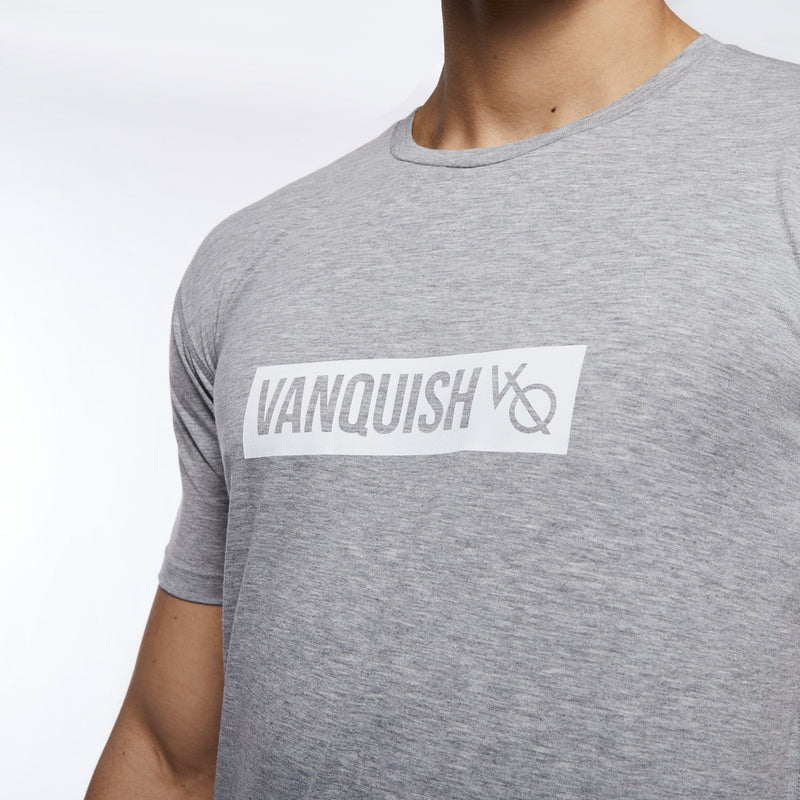 VANQUISH FITNESS Box Logoモデル グレー 半袖Tシャツ 国内発送 2枚目の画像